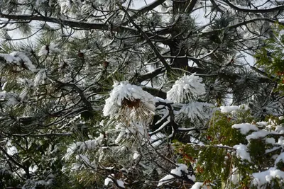 DSC_0788 (Large).JPG